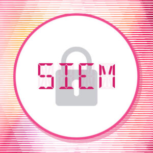 Security Information and Event Management (SIEM) Integration
